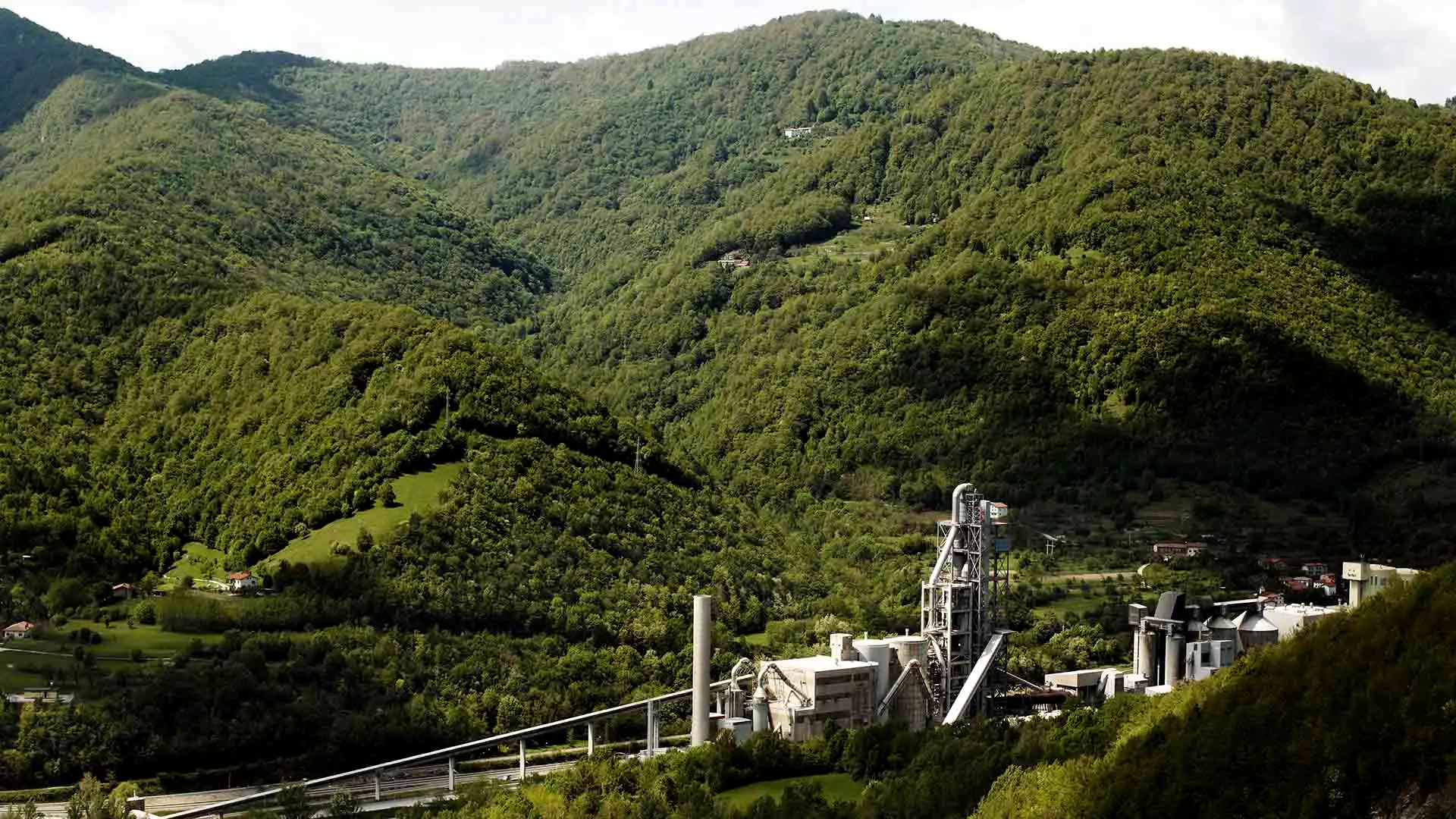 cement plant in forest